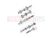 Triumph 2012 SCRAMBLER EFI Transmission