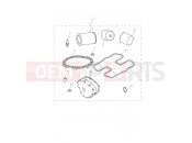 Triumph 2012 SCRAMBLER EFI Service Kit Eng No 456552