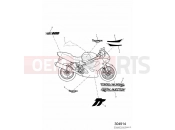 Triumph 2002 TT600 Decals 111990 » » 115673