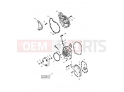 Triumph 2002 TT600 Engine Covers