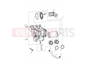 Triumph 2005 THRUXTON 900 CARBS Airbox