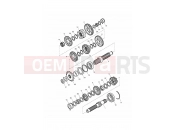 Triumph 2008 THRUXTON 900 EFI Transmission