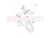 Triumph 2010 THRUXTON 900 EFI Rear Brake Caliper & Disc