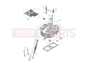 Triumph 2002 AMERICA CARBS Cylinder Head & Valves