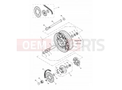TRIUMPH AMERICA CARBS Rear Wheel & Final Drive 281465