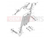 Triumph 2010 AMERICA EFI Oil Cooler