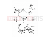 Electrical Equipment - Triumph TIGER 885i 71699 > 124105 2000