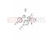 Lubrication System - Triumph TIGER 885i 71699 > 124105 2000