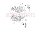 Crankcase Fixings - Triumph TIGER 955i 198875 > 2005