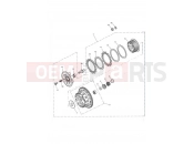 Clutch - Triumph TIGER 955i 198875 > 2005