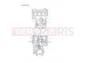 Triumph 2007 Tiger 1050 Crankcase Bolts