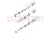 TRIUMPH Tiger 1050 Transmission