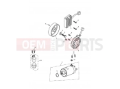 Triumph 2010 Tiger 1050 Starter & Alternator