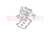 Triumph 2010 Tiger 1050 Cam Cover