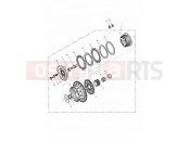 Clutch - Triumph DAYTONA 595 / 955i 2001
