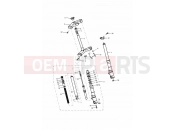 Front Forks & Yokes - Triumph DAYTONA 595 / 955i 2001