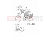 Triumph 1992 DAYTONA 750/1000 Cooling System 4 Cylinder