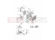 Triumph 1992 DAYTONA 750/1000 Cooling System 3 Cylinder