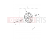 Triumph 2019 STREET CUP Front Wheel