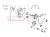 APRILIA SCARABEO 2012 Scarabeo 300 Light ENGINE » Transmission