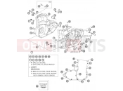 HUSABERG 2006 Street FS 650c/6 06 (2503F5) [EU] ENGINE CASE|Engine|30