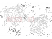 DUCATI 2015 Monster 1200 S Stripe HALF-CRANKCASES PAIR [MOD:M1200STR]