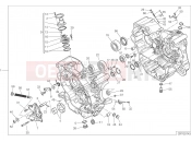 DUCATI 2017 Monster 821 HALF-CRANKCASES PAIR [MOD:M 821]