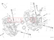 DUCATI 2020 Monster 821 HALF-CRANKCASES PAIR [MOD:M 821]