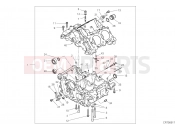 DUCATI 2022 STREETFIGHTER V4 S HALF-CRANKCASES PAIR [MOD:SFV4 S]