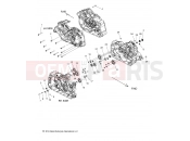 ENGINE | ENGINE, CRANKCASE ASM. - N21MSA11/MSB11 ALL OPTIONS (49INDIANCRANKCASE15SCOUT) - Indian SCOUT SIXTY ALL OPTIONS (R03) - N21MSA11/MSB11 2021