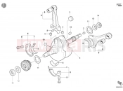 DUCATI Monster S4 Fogarty CRANKSHAFT » ENGINE CASE