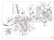 DUCATI 2022 Monster + HALF-CRANKCASES PAIR [MOD:M937+]