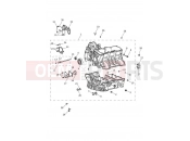 TRIUMPH Tiger 1200 Alpine Crankcase & Fittings