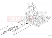 Shift cam and fork - Ducati Diavel V4 2023