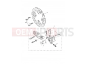 TRIUMPH Tiger 1200 GT Pro Rear Brake Caliper & Discs