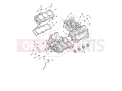 TRIUMPH Tiger 1200 GT Pro Crankcase & Fittings