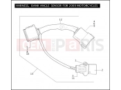 Harley-Davidson 2009 TOURING ROAD KING  - FLHR HARNESS, BANK ANGLE SENSOR FOR 2009 MOTORCYCLES