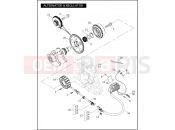 Harley-Davidson 2007 VRSC VRSCAW V-ROD  - VRSCAW ALTERNATOR & REGULATOR