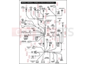 Harley-Davidson 2006 DYNA DYNA WIDE GLIDE  - FXDWGI WIRING HARNESS, FXDWGI & FXD35 (CONTINUED)