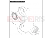ALTERNATOR & REGULATOR - Harley-Davidson CVO FAT BOY - FLSTFSE 2005