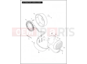 HARLEY-DAVIDSON NIGHT TRAIN  - FXSTB ALTERNATOR & REGULATOR