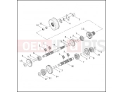 TRANSMISSION GEARS - Harley-Davidson CVO DYNA WIDE GLIDE - FXDWG2 2001