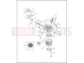 CYLINDERS, VALVES & HEADS - VÂ²â¢ EVOLUTION - Harley-Davidson CVO DYNA SUPER GLIDE - FXR3 1999