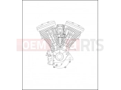 HARLEY-DAVIDSON SOFTAIL CUSTOM  - FXSTC ENGINE