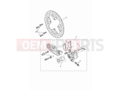 TRIUMPH Tiger 1200 GT Pro Rear brake caliper & discs