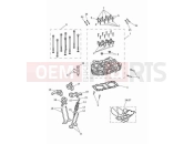 Cylinder head & valves - Triumph Speed Twin 900 2023