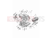 Crankcase & fittings - Triumph Speed Twin 900 2023