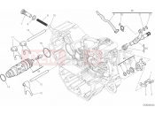 DUCATI Scrambler 1100 Sport SHIFT CAM & FORK