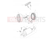 TRIUMPH Tiger 800 XRT Starter & Alternator