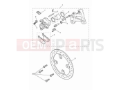 TRIUMPH Tiger 900 GT Rear brake caliper & discs